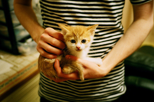 “战术对决：布置与应变中的精彩瞬间”，战术队伍