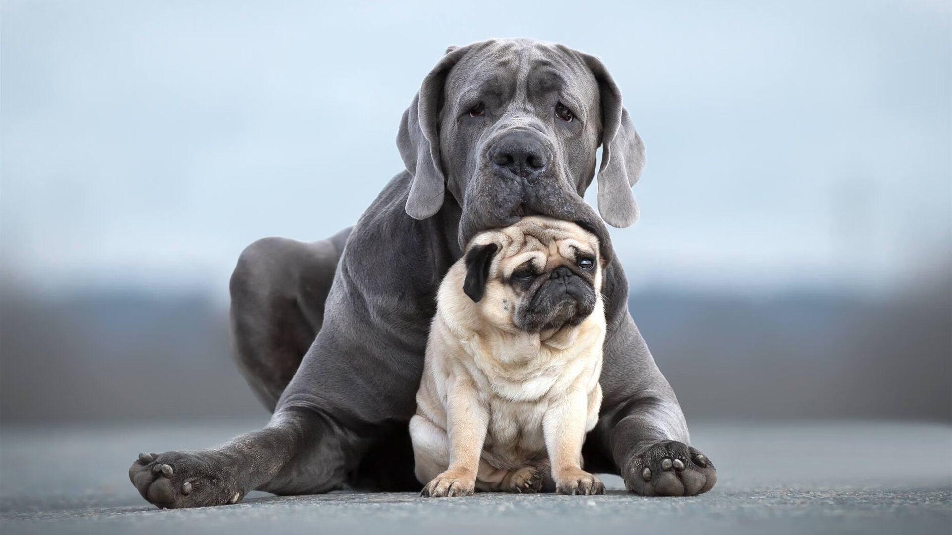 “意甲劲旅困境突围，争取赛季佳绩”，意甲老牌劲旅