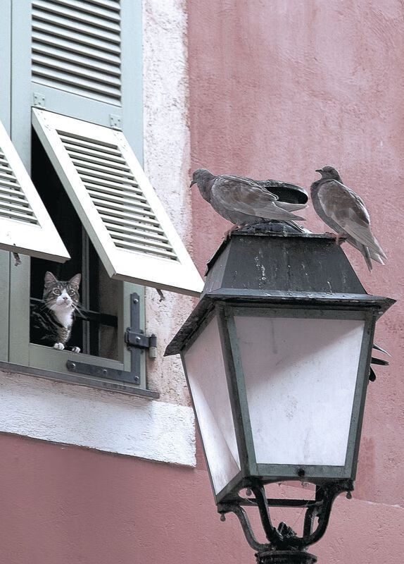 “青少年足球赛事全面升级,比赛更激烈更精彩”,青少年 足球