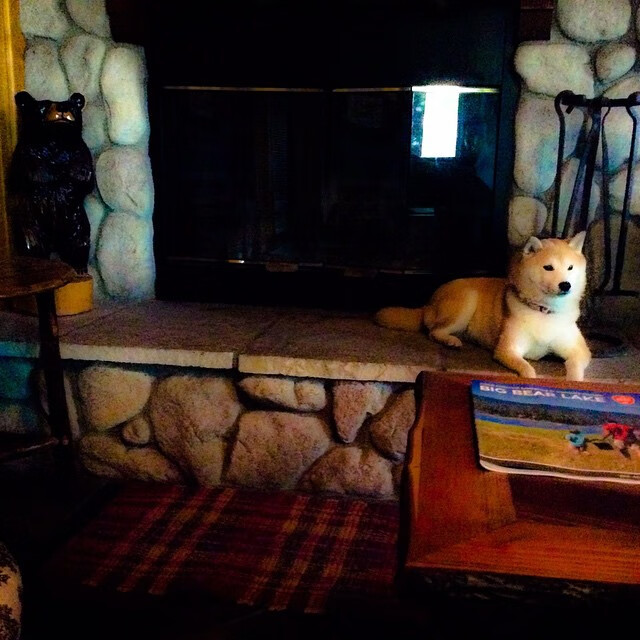 人和战术调整有成效，取得三连胜积分攀升，人和阵容