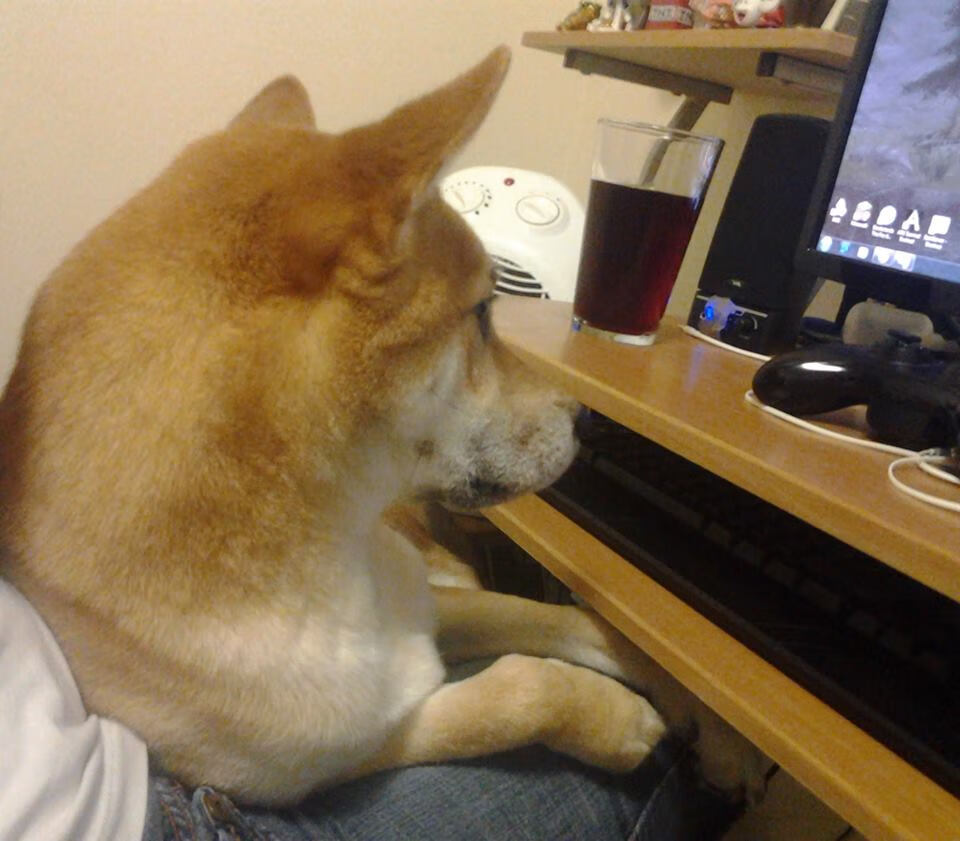 德甲战术创新成果突出,精彩连续不断,德甲的主张