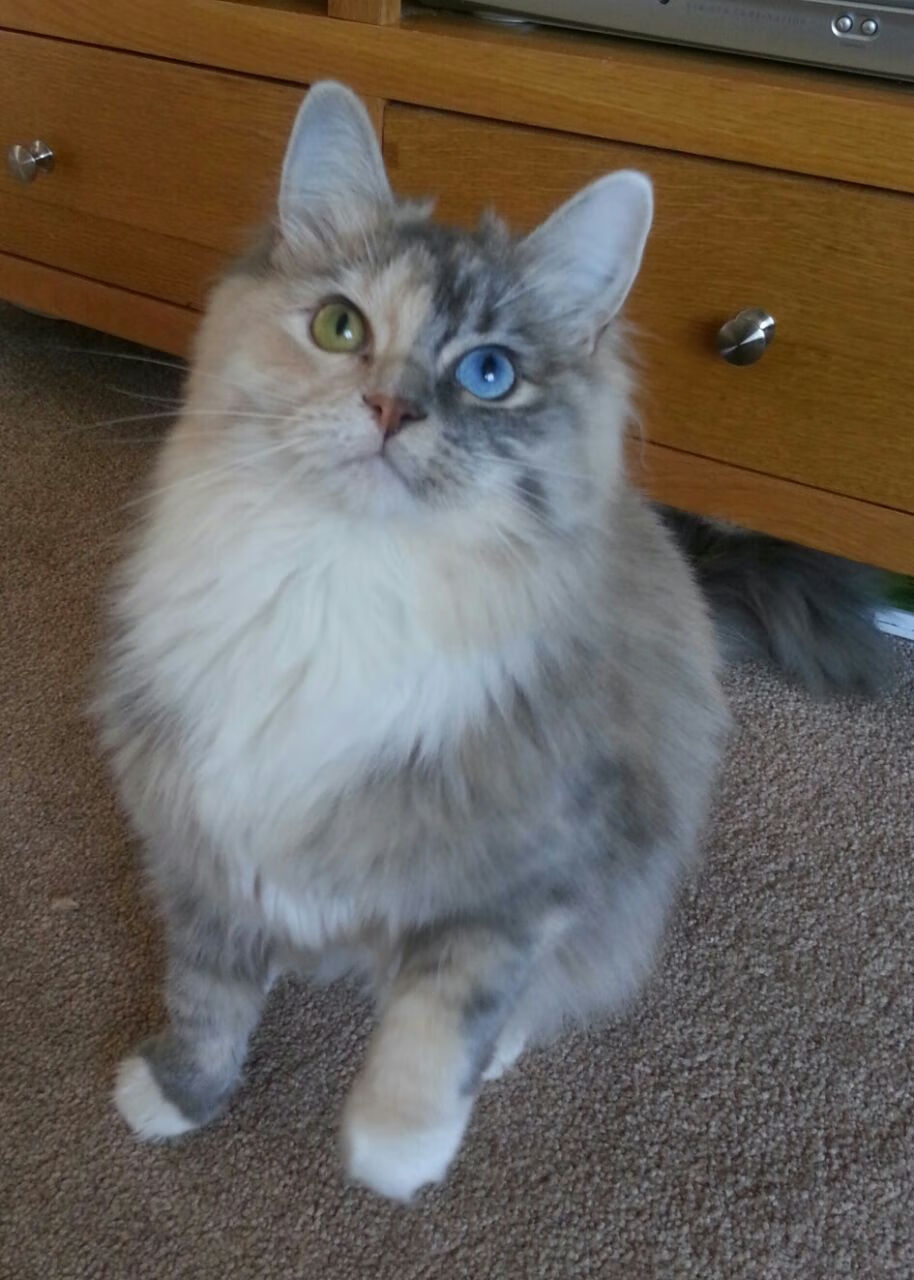 德甲推崇战术创新，精彩比赛不断，亮点纷呈，德甲榜首大战