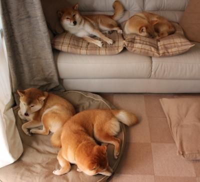 绝杀“欧冠战神”献祭:那一腿让天下为之一震,欧冠赛场上的绝杀