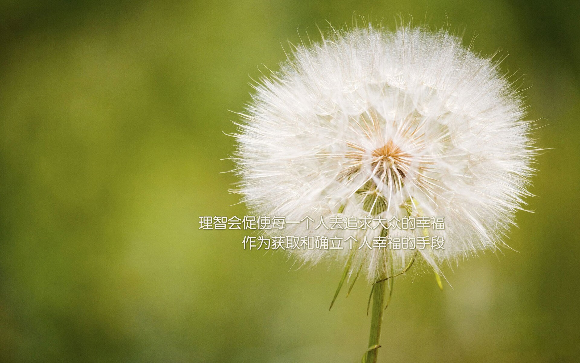 裁判标准升级:不断完善规则,确保比赛公平公正,裁判标准统一