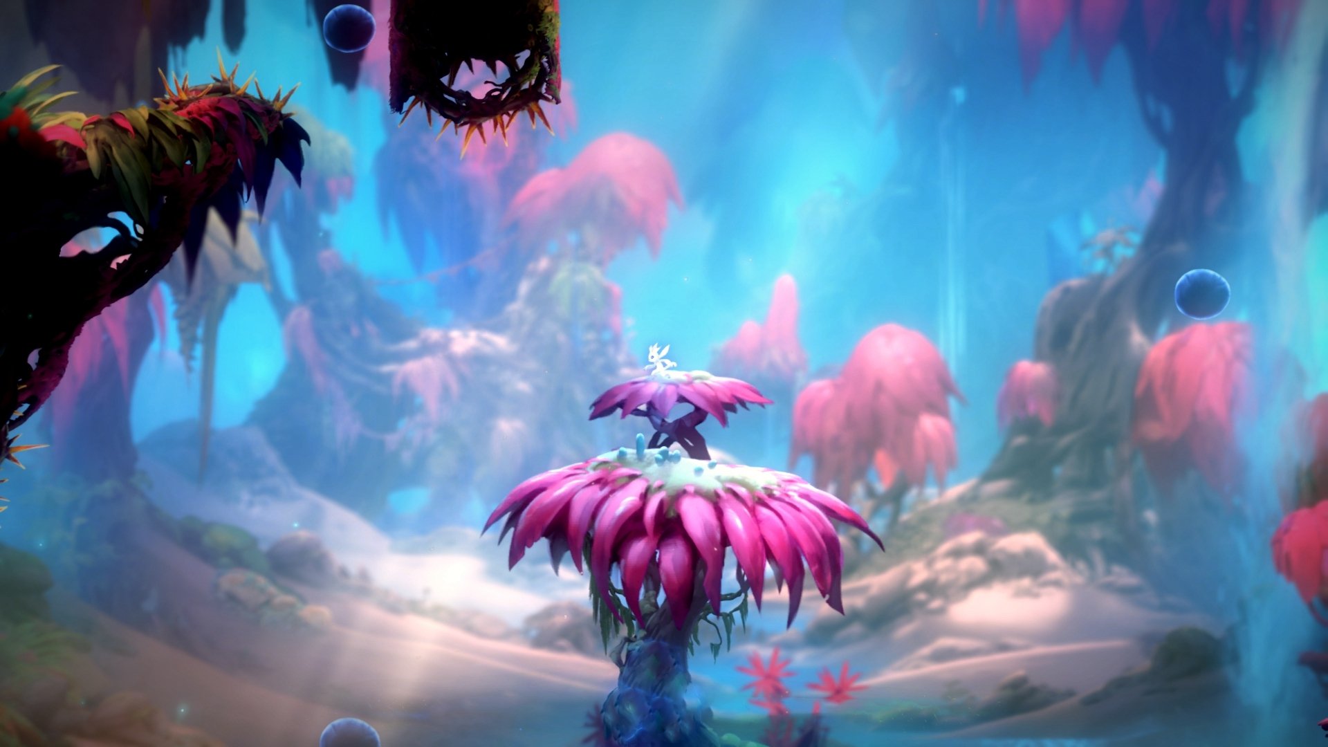 墨西哥城队主帅呼吁规则改革，墨西哥城nba球队