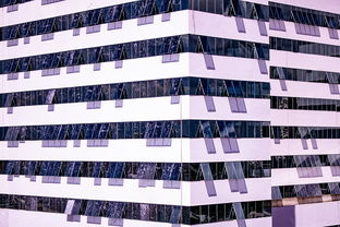 中国篮球联赛赛事安全管理体系建设与完善,我国篮球竞赛制度改革