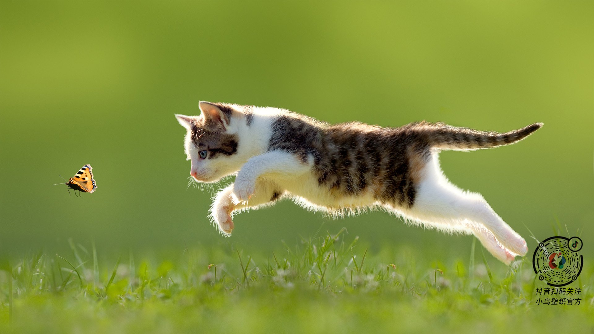 国足比赛下半场得分数据研究,国足下半场惹不起